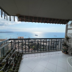 Dotta Appartement de 3 pieces a vendre - MILLEFIORI - Monte-Carlo - Monaco - imgimage3