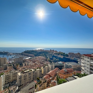 Dotta Penthouse a vendre - GRANADA - Moneghetti - Monaco - img01