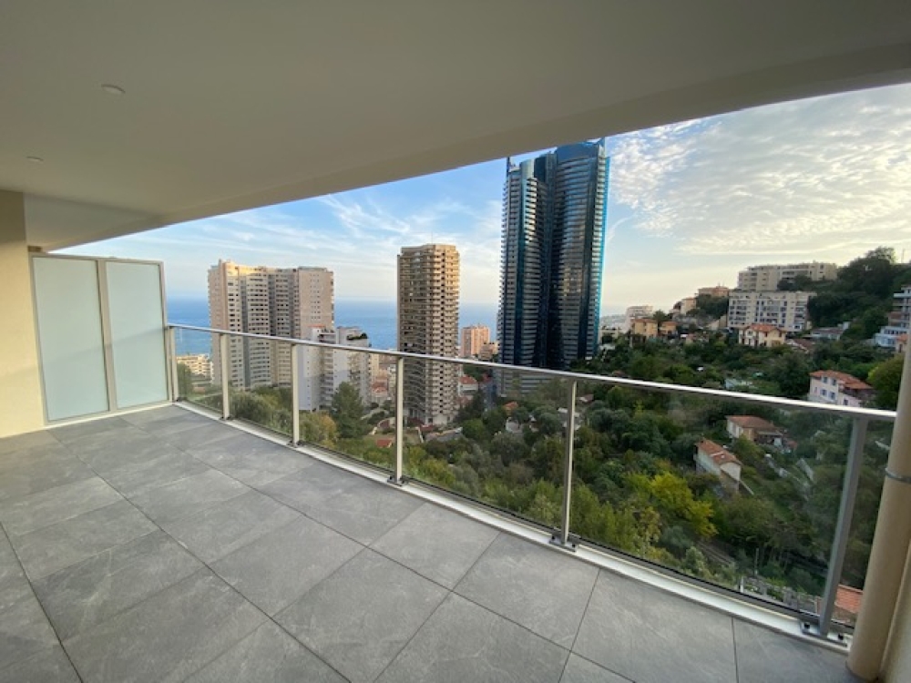 Dotta 2 rooms apartment for rent - SUN PARADISE - Beausoleil - Beausoleil - img7242