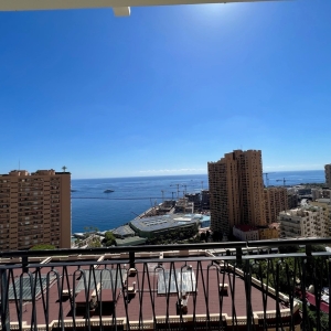 Dotta 2 rooms apartment for sale - CONTINENTAL - Monte-Carlo - Monaco - imgimage1