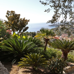 Dotta Villa for sale - VILLA « LE MAS DES OLIVIERS » - Menton - Menton  - img140