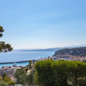 Dotta 5 rooms apartment for sale - VILLA ANGELICO - Mont Boron - Nice - img2023-07-29-1-rue-henry-de-bournazel-nice-55