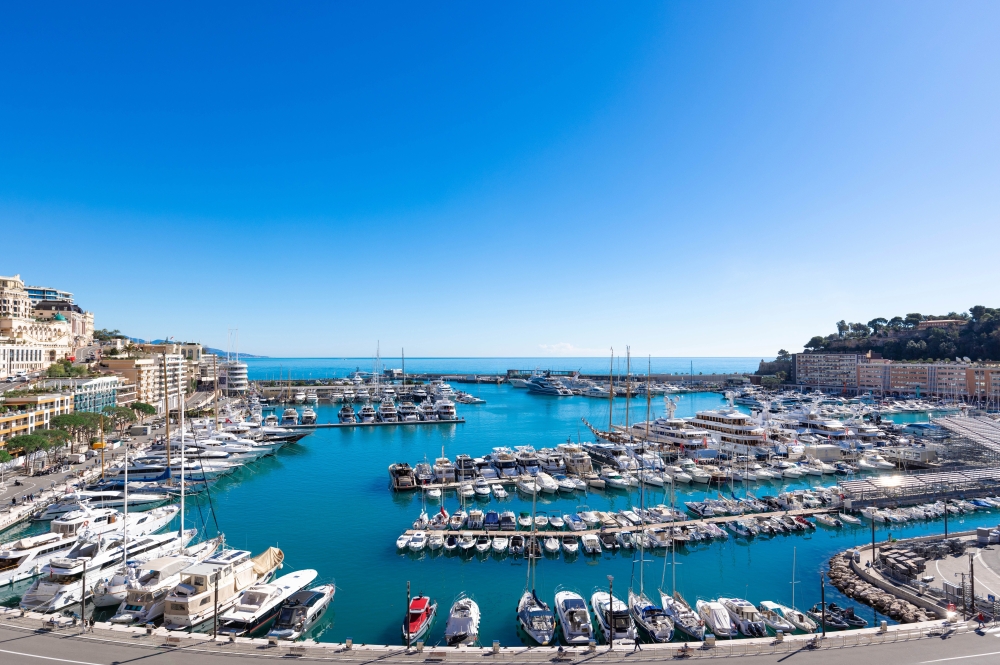 Dotta 6+ rooms apartment for sale - CARAVELLES - Port - Monaco - img074a5793