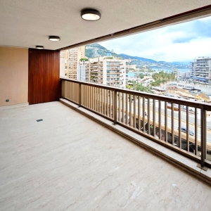 Dotta 2 rooms apartment for rent - MIRABEAU - Monte-Carlo - Monaco - imgggg