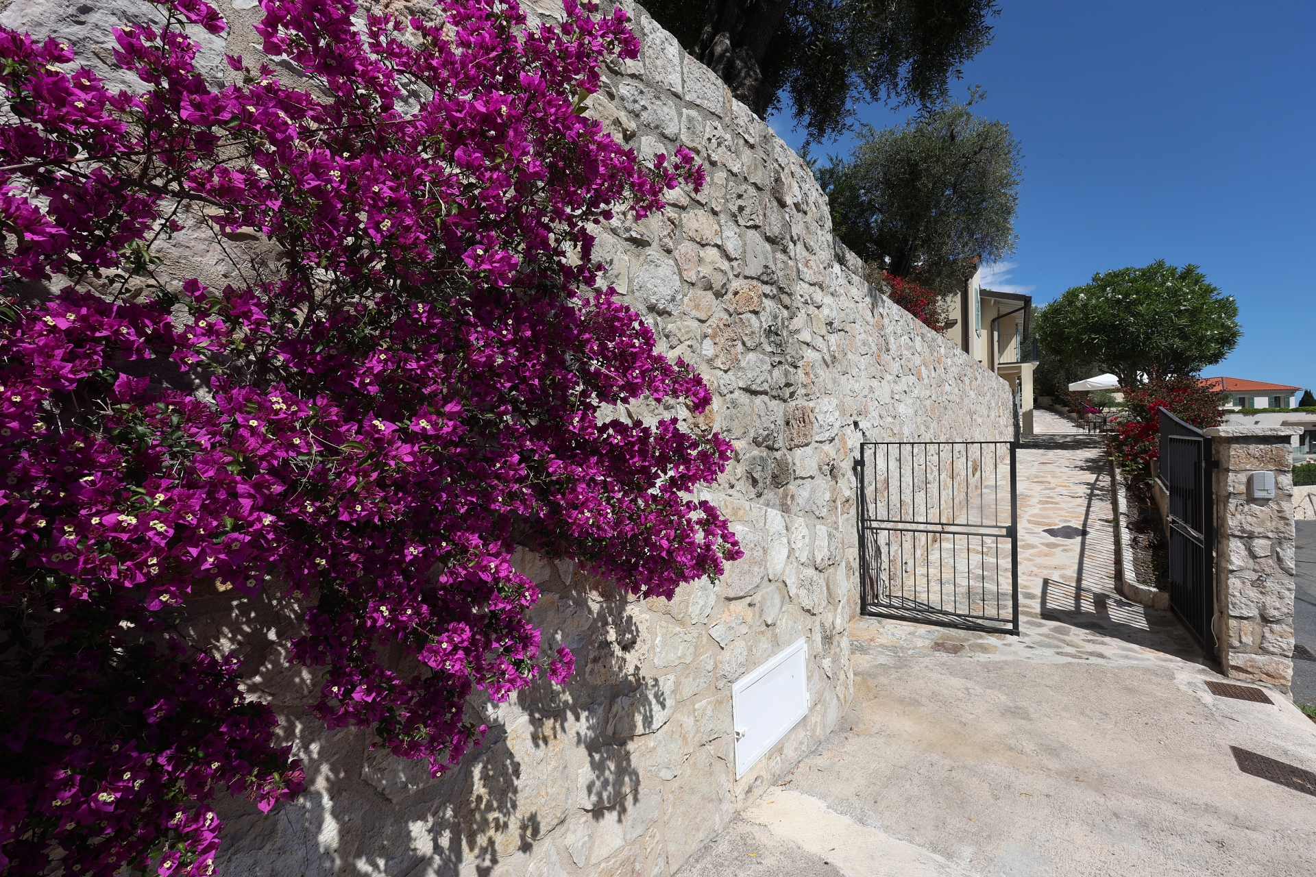 Dotta Villa for sale - VILLA « LE MAS DES OLIVIERS » - Menton - Menton  - img002