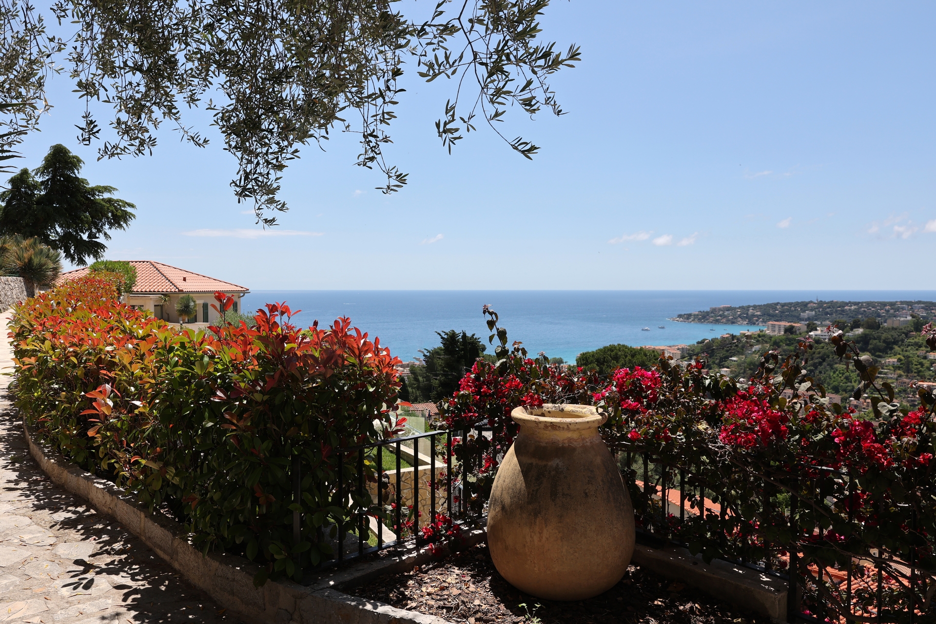 Dotta Villa for sale - VILLA « LE MAS DES OLIVIERS » - Menton - Menton  - img013