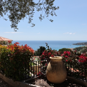 Dotta Villa for sale - VILLA « LE MAS DES OLIVIERS » - Menton - Menton  - img013