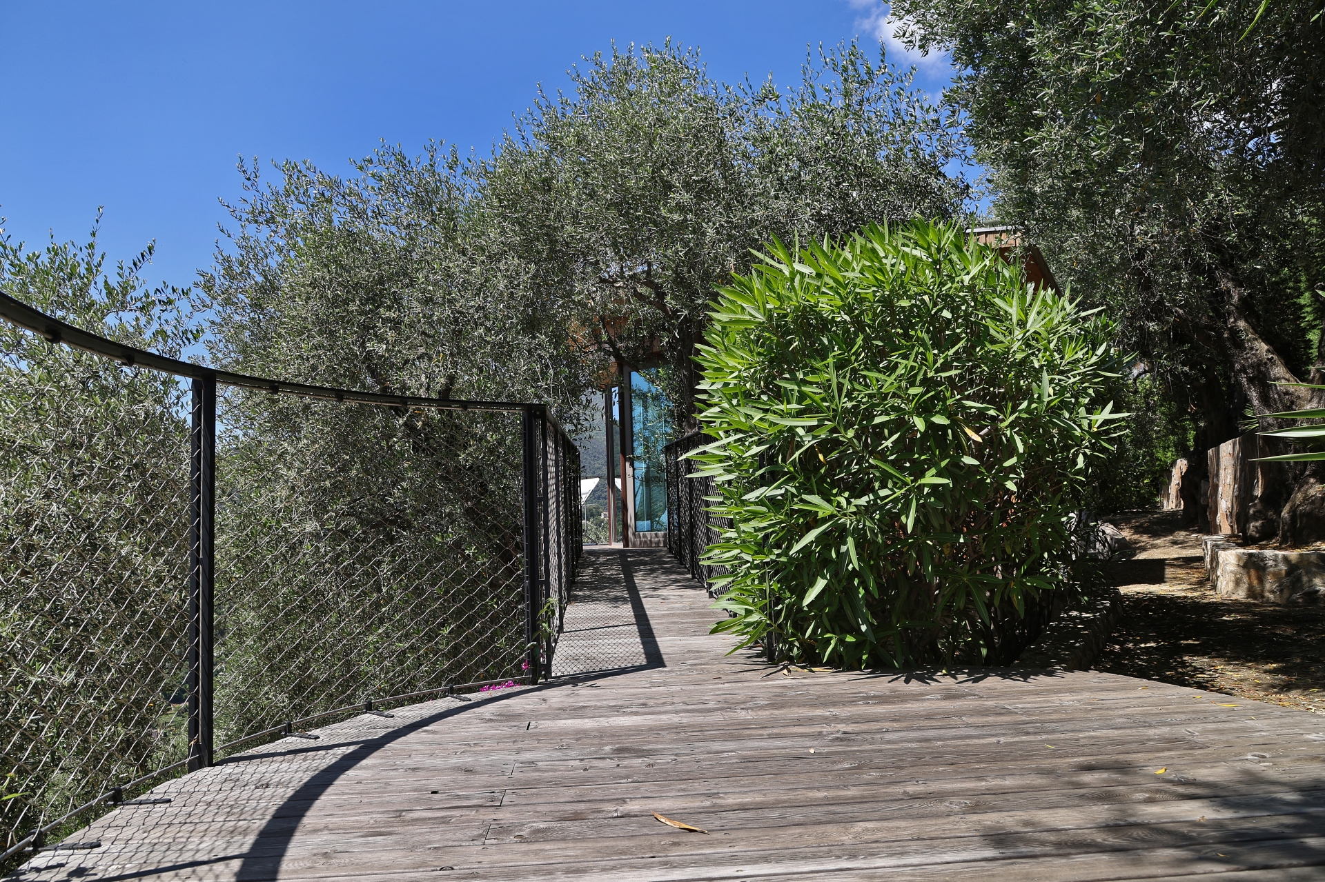 Dotta Villa for sale - VILLA « LE MAS DES OLIVIERS » - Menton - Menton  - img014