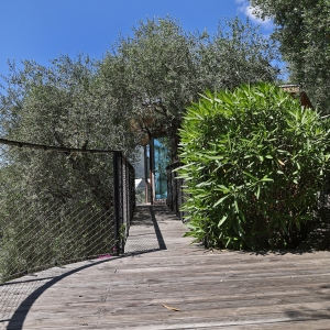 Dotta Villa for sale - VILLA « LE MAS DES OLIVIERS » - Menton - Menton  - img014