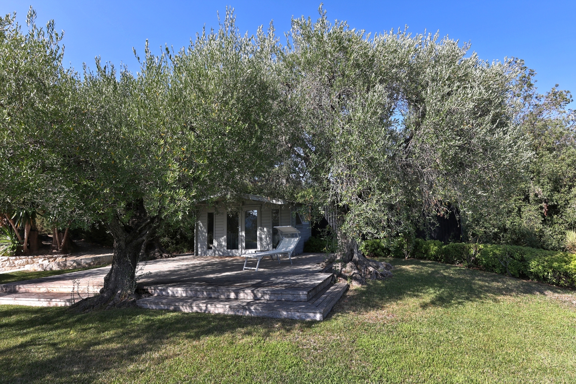 Dotta Villa for sale - VILLA « LE MAS DES OLIVIERS » - Menton - Menton  - img022