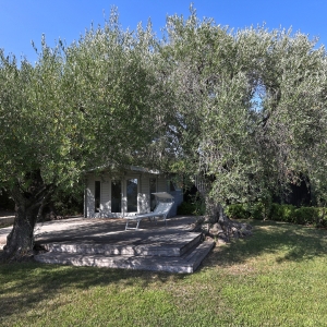 Dotta Villa for sale - VILLA « LE MAS DES OLIVIERS » - Menton - Menton  - img022