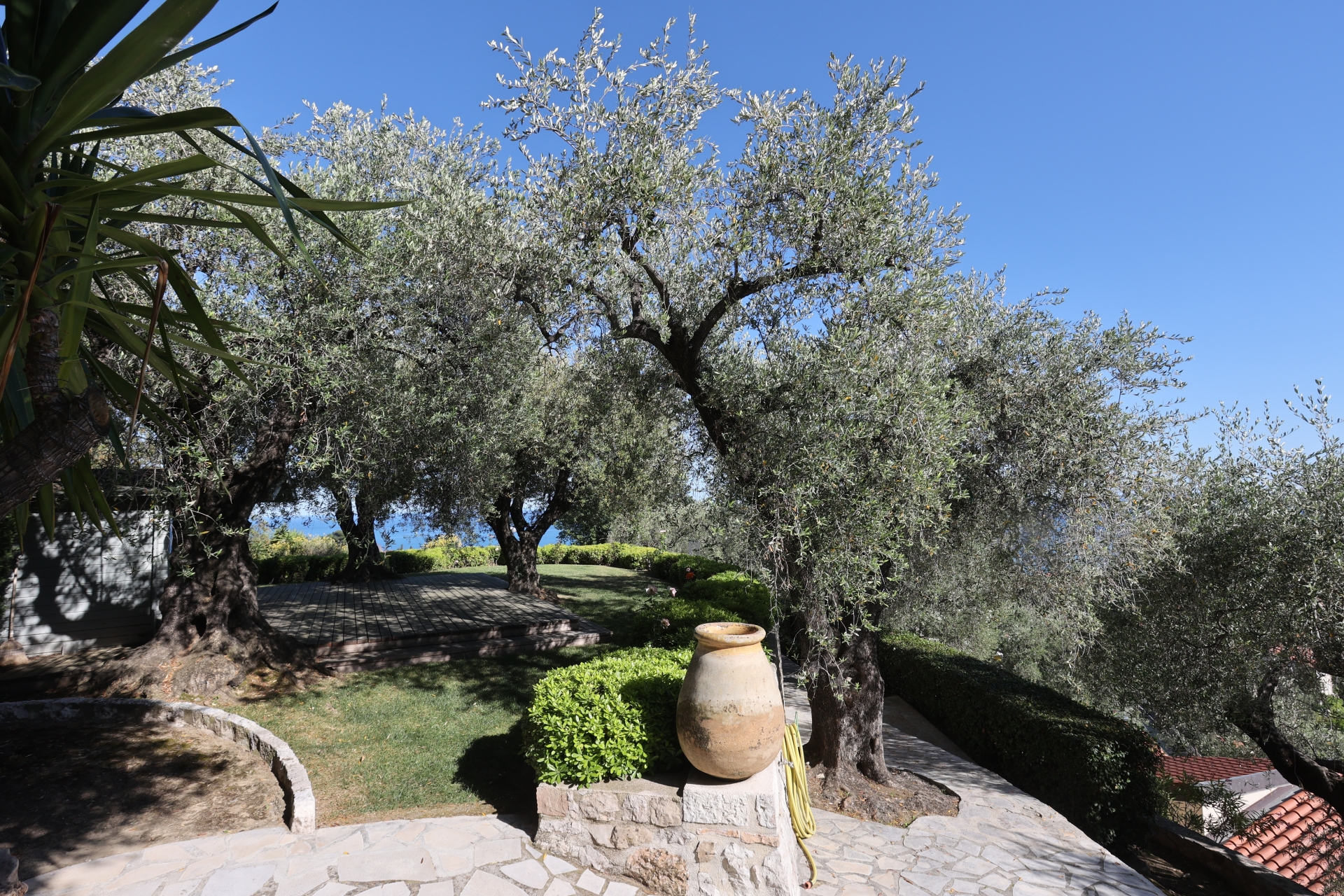 Dotta Villa for sale - VILLA « LE MAS DES OLIVIERS » - Menton - Menton  - img026