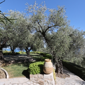Dotta Villa for sale - VILLA « LE MAS DES OLIVIERS » - Menton - Menton  - img026