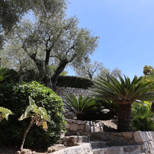 Dotta Villa for sale - VILLA « LE MAS DES OLIVIERS » - Menton - Menton  - img029