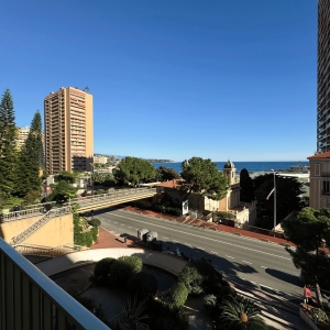 Dotta 3 rooms apartment for sale - HERSILIA - Larvotto - Monaco - img3