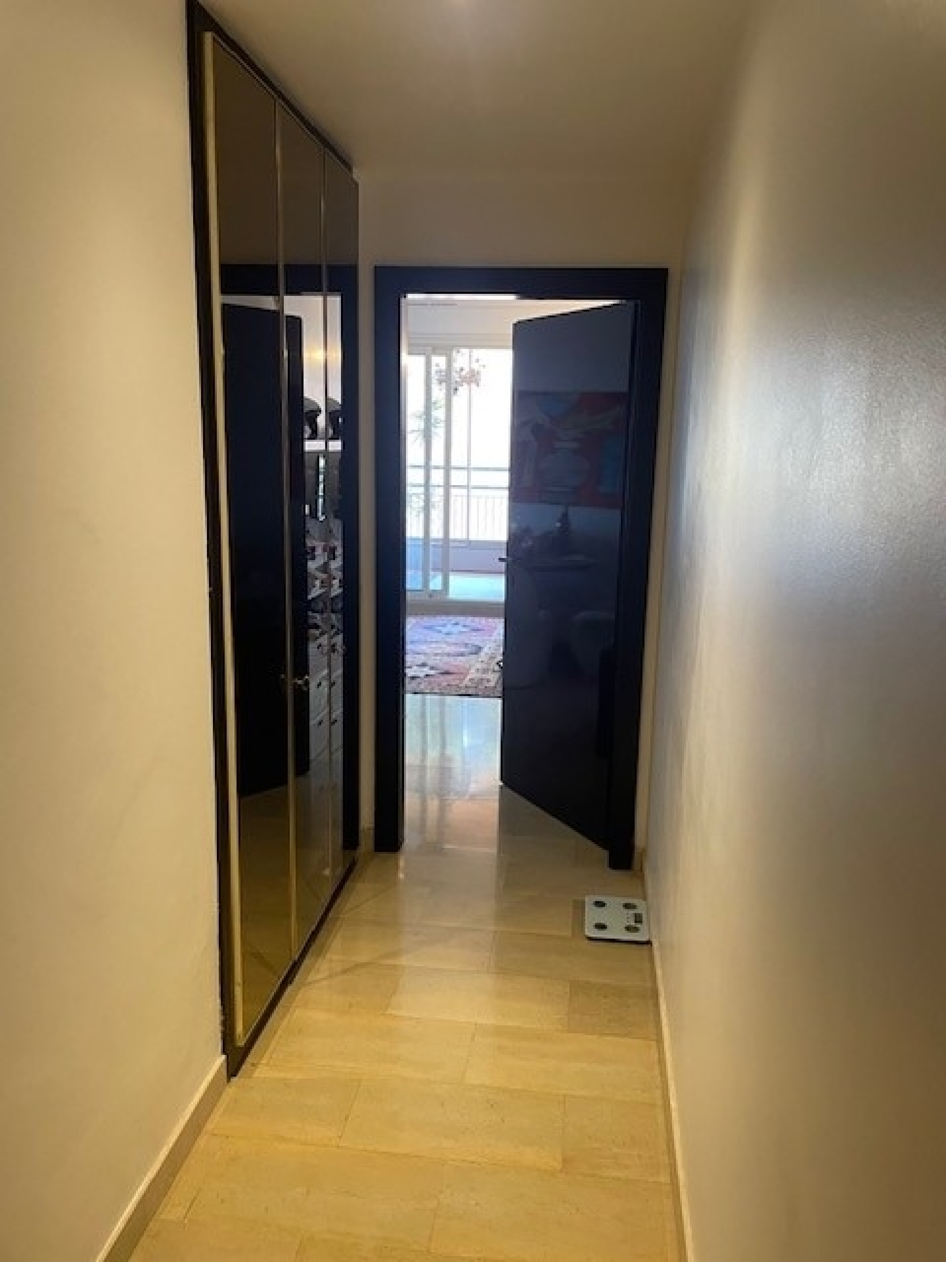 Dotta Studio for sale - GIOTTO - Fontvieille - Monaco - imgcouloir