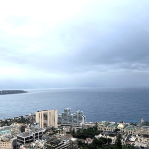 Dotta Studio for sale - MILLEFIORI - Monte-Carlo - Monaco - img6