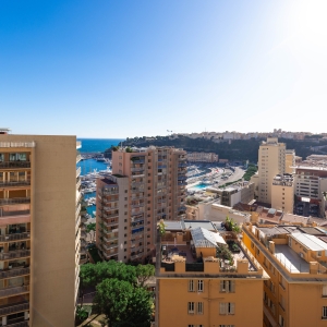 Dotta 3 rooms apartment for sale - HARBOUR CREST - La Condamine - Monaco - img074a3524