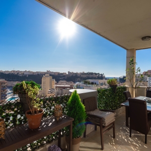 Dotta 3 rooms apartment for sale - HARBOUR CREST - La Condamine - Monaco - img074a3532
