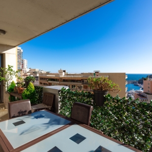 Dotta 3 rooms apartment for sale - HARBOUR CREST - La Condamine - Monaco - img074a3530