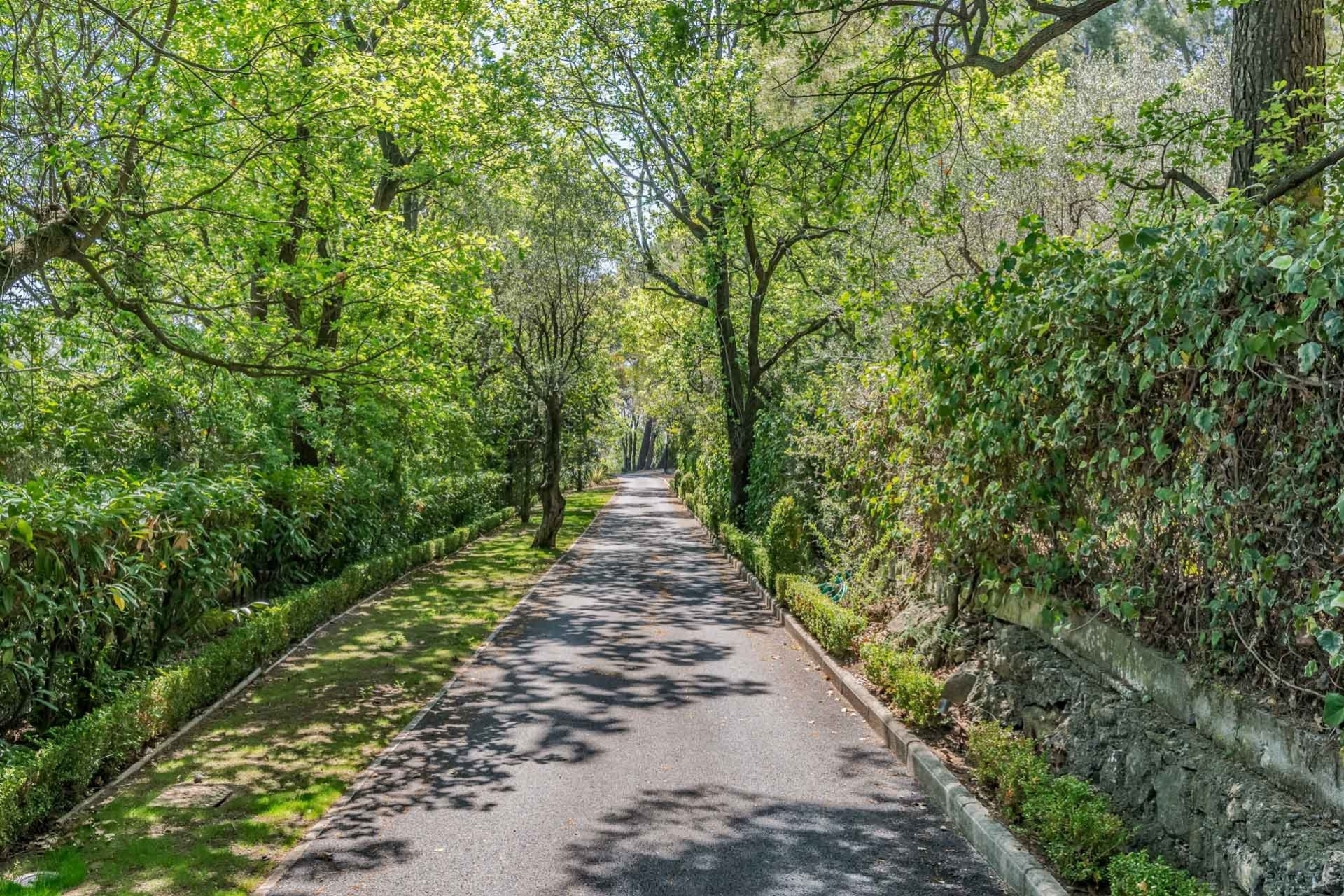 Dotta Villa for sale - Mougins - img12