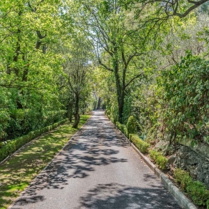 Dotta Villa for sale - Mougins - img12