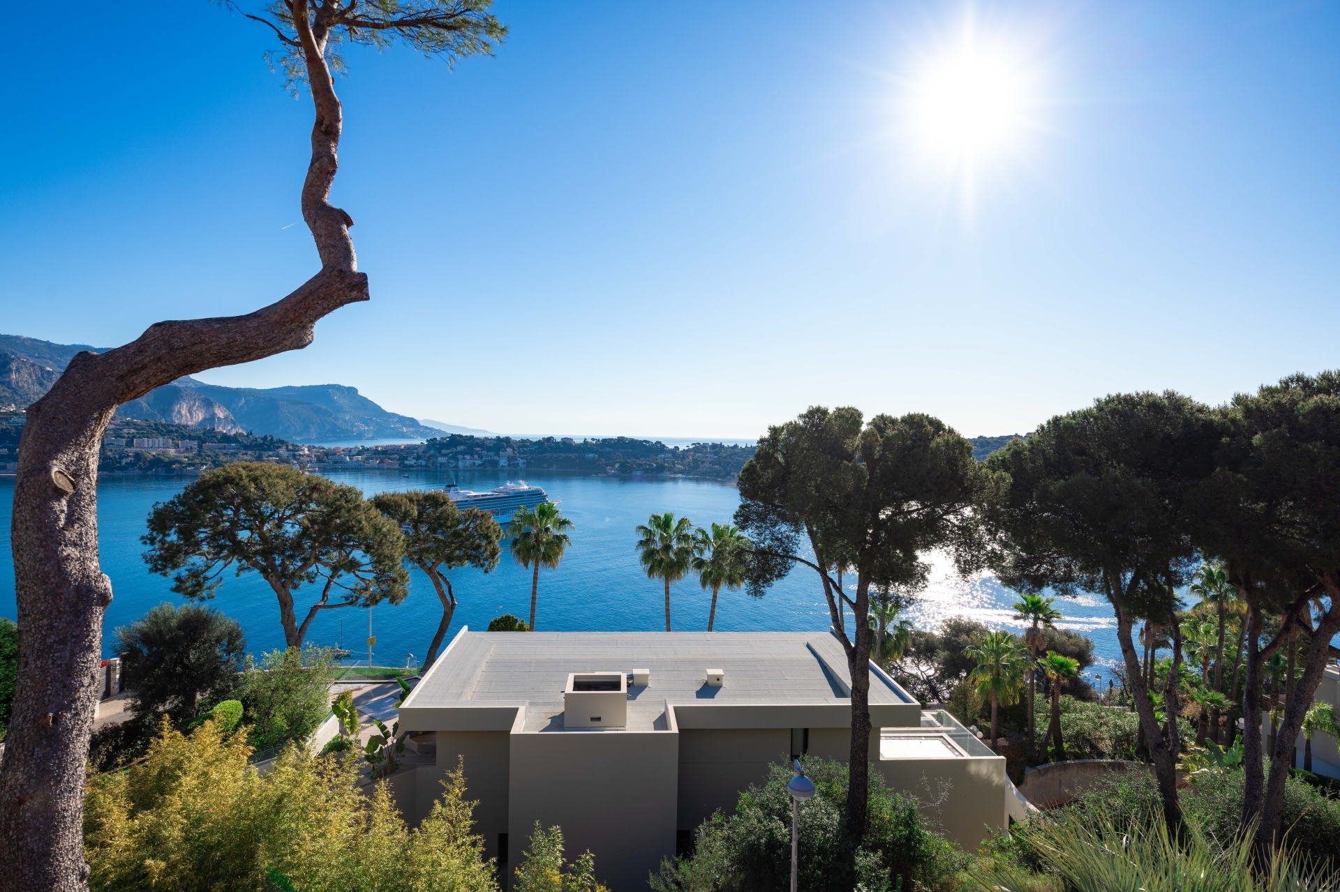 Dotta Villa for sale - VILLA HAYE - Mont Boron - Nice - img074a4735