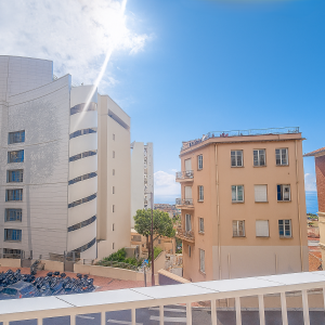 Dotta 4 rooms apartment for sale - VILLA BOSIO - Jardin Exotique - Monaco - img9
