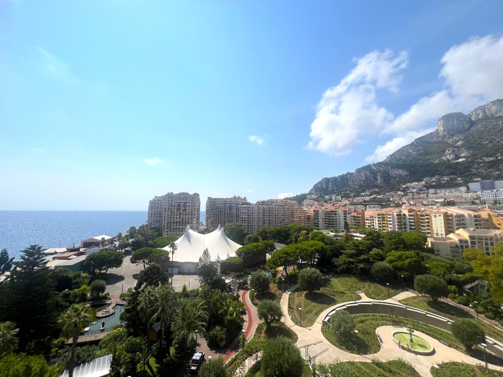 Dotta 2 rooms apartment for sale - ROSA MARIS - Fontvieille - Monaco - img3