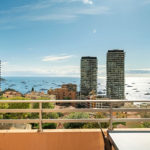Dotta 5 rooms apartment for sale - MONTE CARLO HILL - Saint-Roman - Beausoleil - imgdsc00534