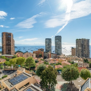 Dotta 5 rooms apartment for sale - MONTE CARLO HILL - Saint-Roman - Beausoleil - imgdsc00609