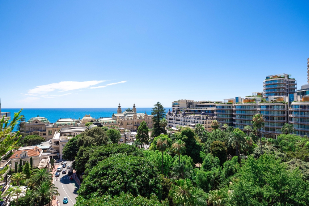 Dotta 6+ rooms apartment for rent - PETITE AFRIQUE - Monte-Carlo - Monaco - img074a2491-1