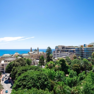 Dotta 6+ rooms apartment for rent - PETITE AFRIQUE - Monte-Carlo - Monaco - img074a2491-1