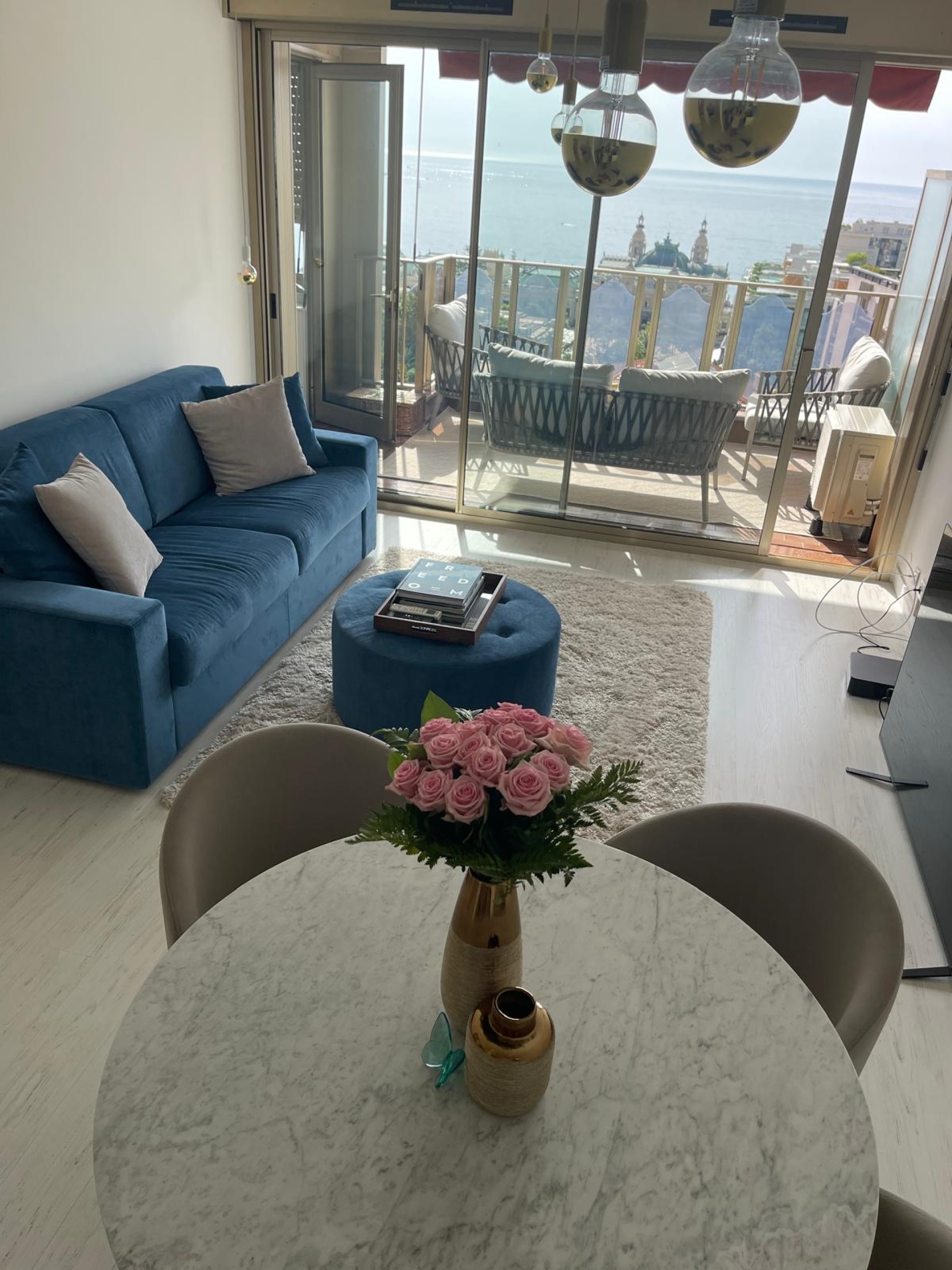 Dotta 2 rooms apartment for rent - RIVIERA PALACE - Monte-Carlo - Monaco - imgimage00001