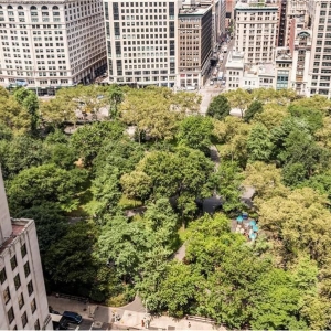 Dotta 2 rooms apartment for sale - THE STANFORD - Nomad - New York  - img396035577