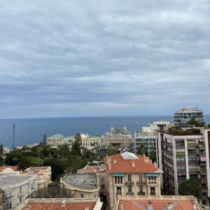 Dotta 2 rooms apartment for rent - RIVIERA PALACE - Monte-Carlo - Monaco - img4