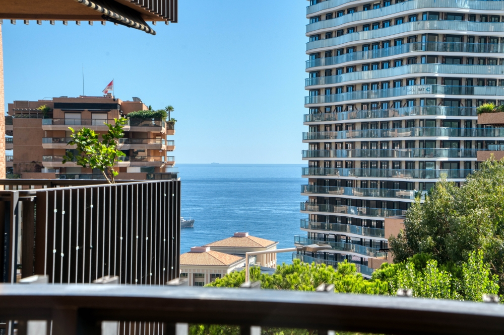 Dotta 2 rooms apartment for sale - PARC SAINT ROMAN - La Rousse - Monaco - img0126