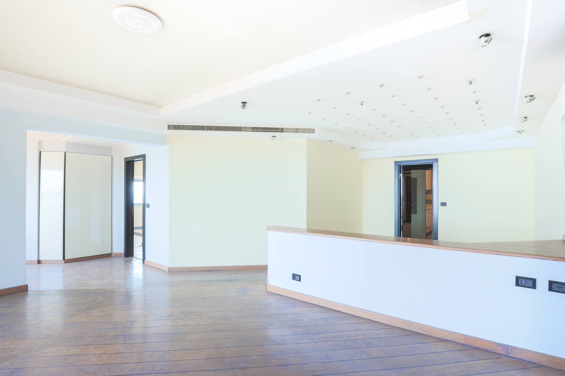 Dotta 5 rooms apartment for sale - PARC SAINT ROMAN - La Rousse - Monaco - img074a0456