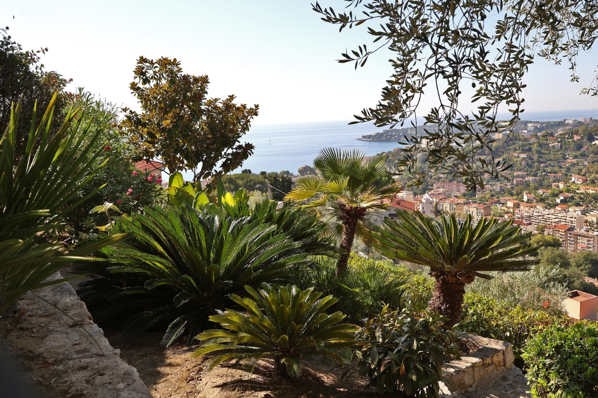 Dotta Villa for sale - VILLA « LE MAS DES OLIVIERS » - Menton - Menton  - img140