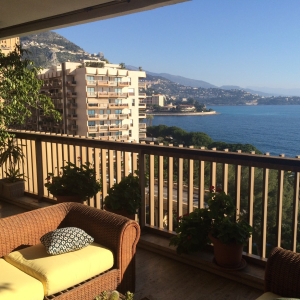 Dotta 2 rooms apartment for sale - MIRABEAU - Monte-Carlo - Monaco - img2