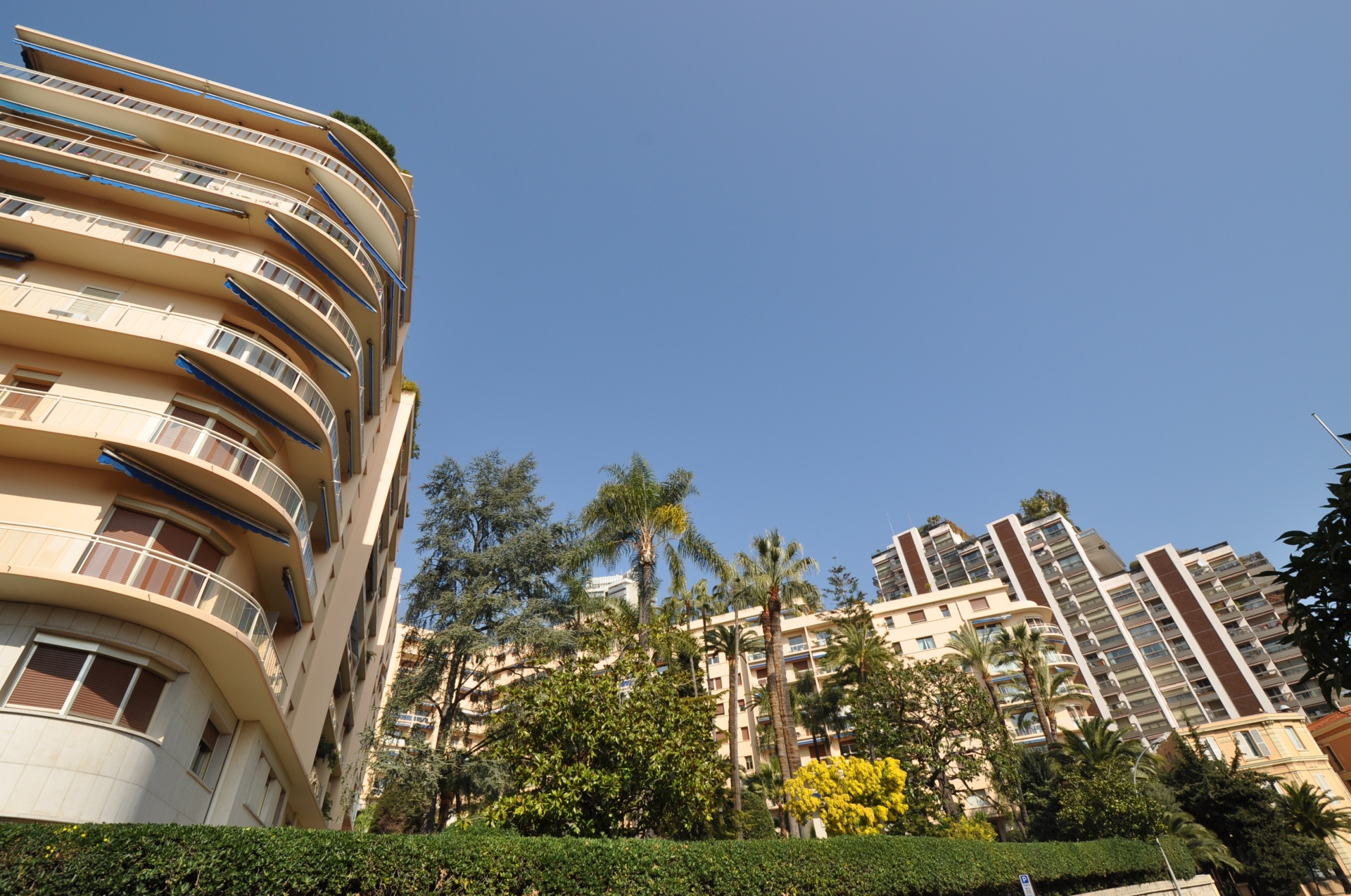 Dotta Offices for rent - ROQUEVILLE - Monte-Carlo - Monaco - img0004