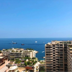 Dotta 2 rooms apartment for sale - CHaTEAU PERIGORD II - La Rousse - Monaco - img1