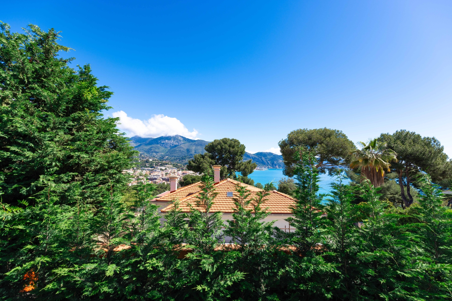 Dotta Villa for sale - VILLA STECYA - Roquebrune-Cap-Martin - Roquebrune-Cap-Martin - img074a5015