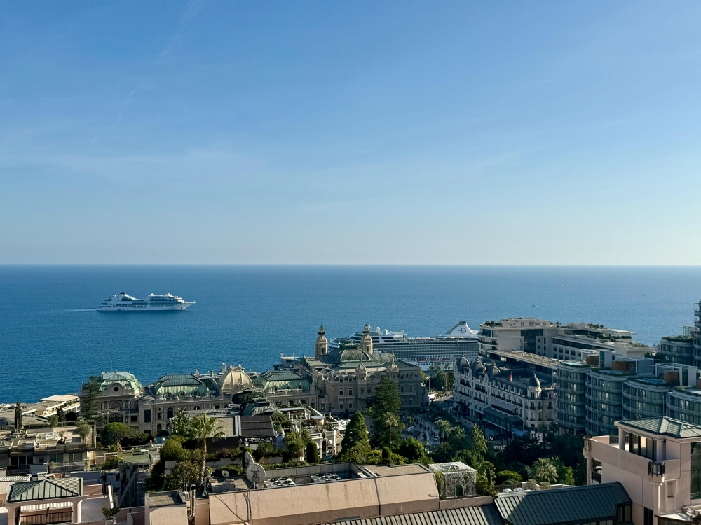 Dotta 4 rooms apartment for sale - ALCAZAR - Beausoleil - Beausoleil - imga4