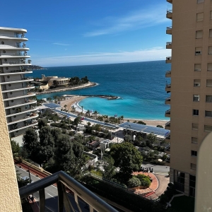 Dotta 2 rooms apartment for rent - TOUR LARVOTTO - La Rousse - Monaco - imgimage6