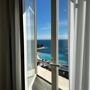 Dotta 2 rooms apartment for rent - TOUR LARVOTTO - La Rousse - Monaco - imgimage11