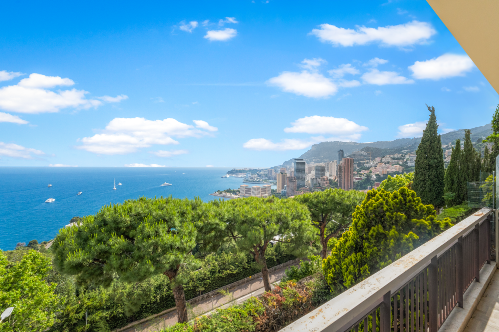 Dotta 3 rooms apartment for sale - LA GIRAGLIA - Varavilla - Roquebrune-Cap-Martin - imgdsc08752
