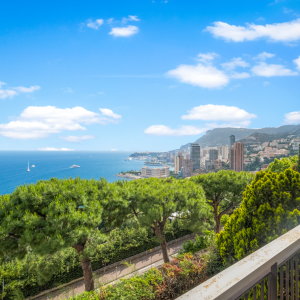 Dotta 3 rooms apartment for sale - LA GIRAGLIA - Varavilla - Roquebrune-Cap-Martin - imgdsc08752