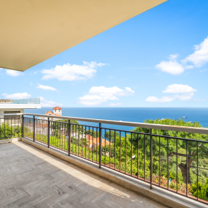 Dotta 3 rooms apartment for sale - LA GIRAGLIA - Varavilla - Roquebrune-Cap-Martin - imgdsc08778