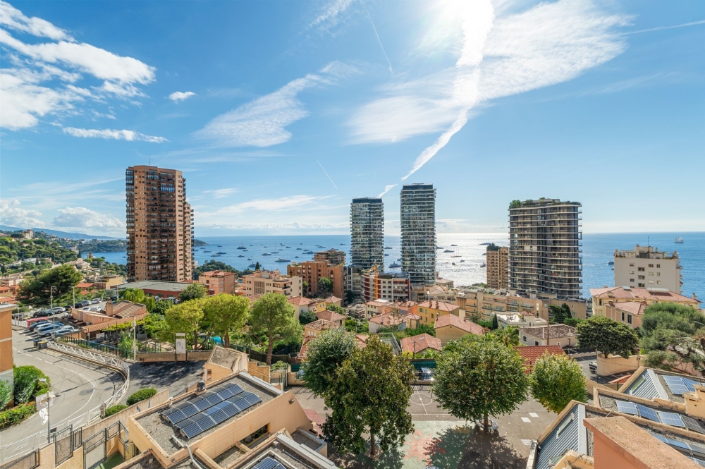 Dotta 5 rooms apartment for sale - MONTE CARLO HILL - Saint-Roman - Beausoleil - imgdsc00609
